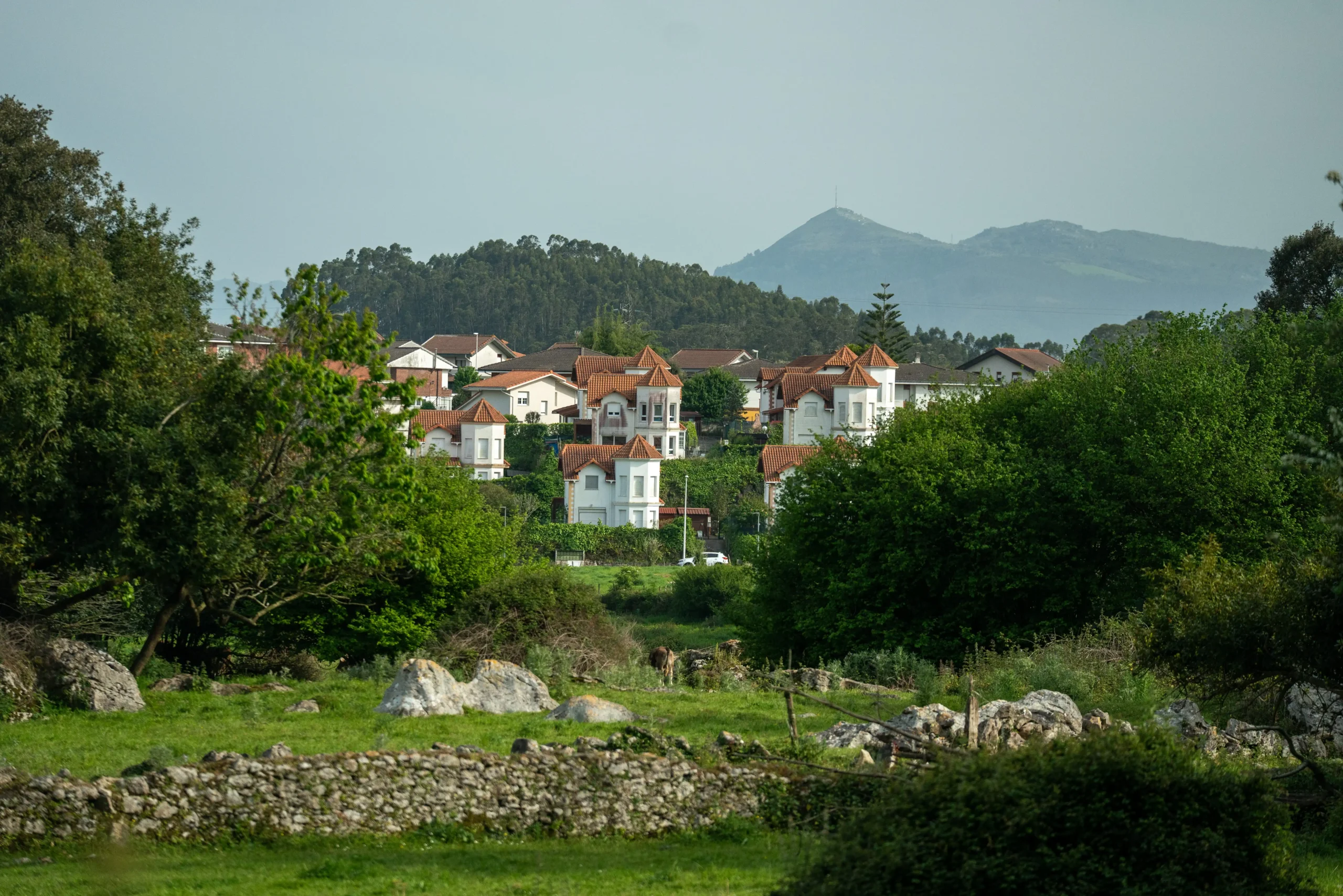 DSC09495 (1)